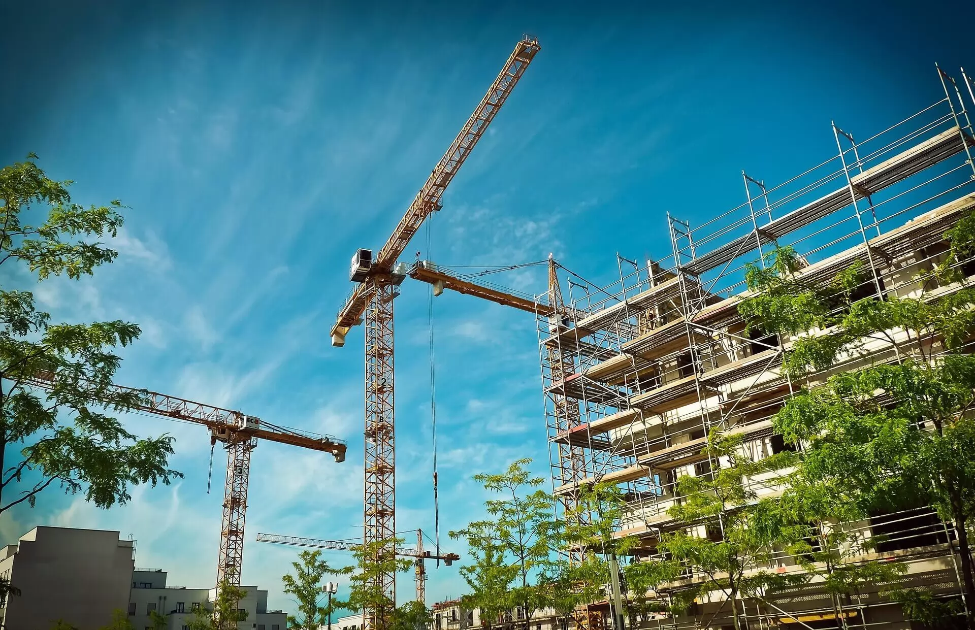 Jenis-Jenis Struktur Baja dan Aplikasinya dalam Konstruksi Modern